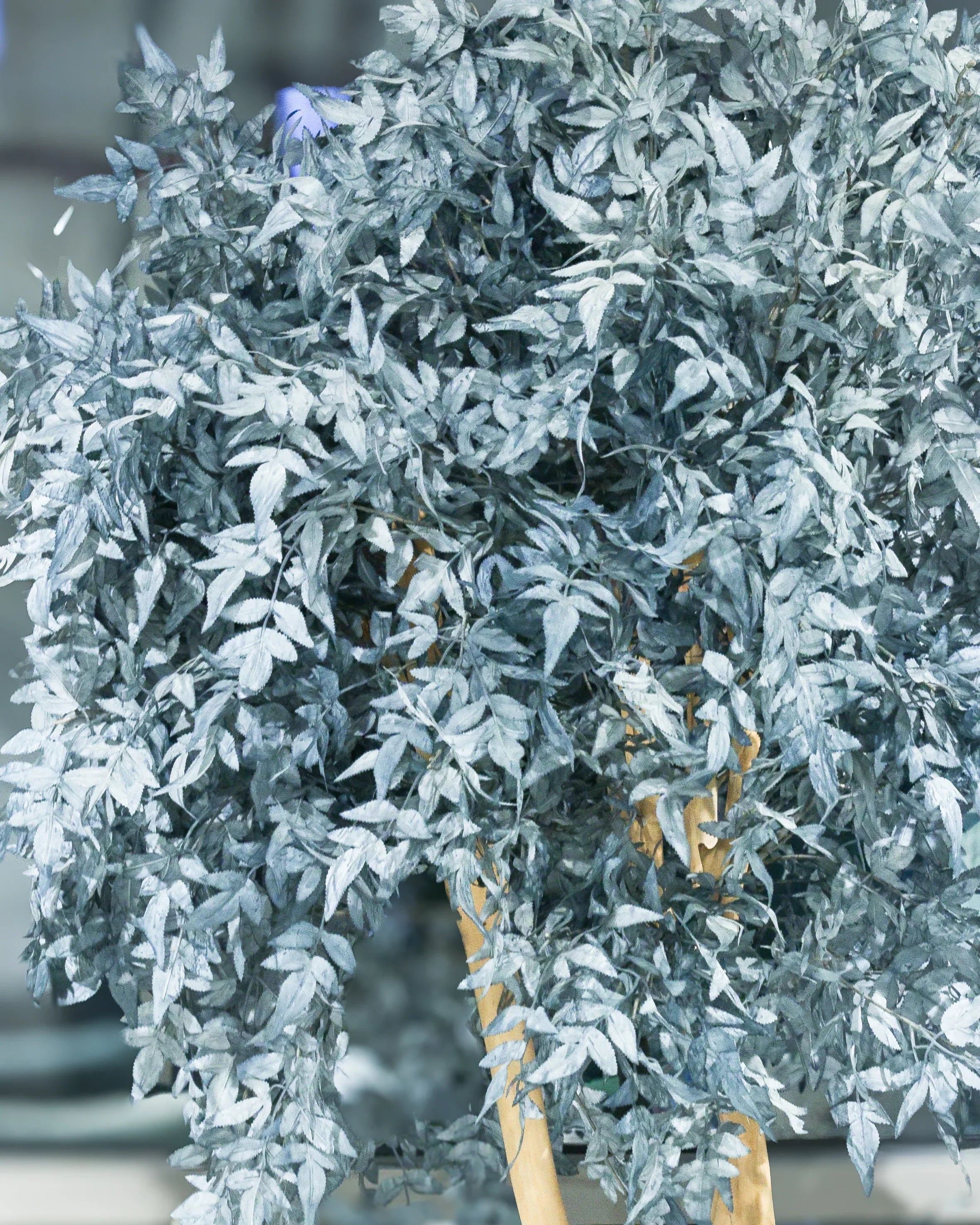 Twist Leaf#Color_Blue
